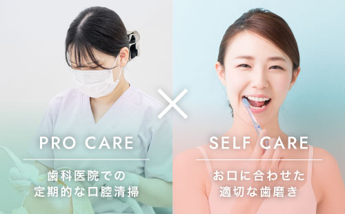 PRO CARE:歯科医院での定期的な口腔清掃 × SELF CARE:お口に合わせた適切な歯磨き